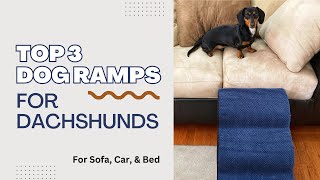 Our Top 3 Dachshund Ramps for Sofa, Car, & Bed Revealed
