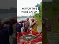 Traditional Fish Harvesting During Heavy Rain. #menjalaikandilaut #mencariikan #shortvideo #fypシ
