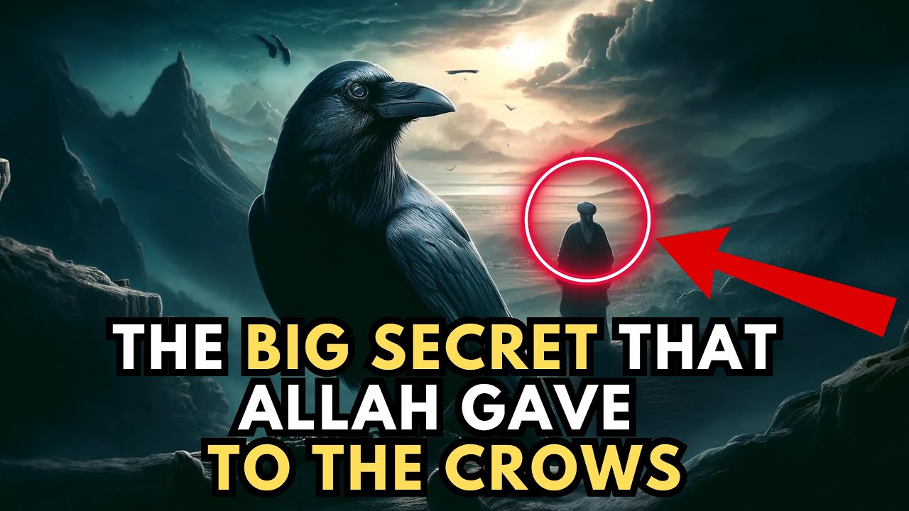 The HIDDEN MYSTERY ALLAH Revealed About CROWS 1400 Years Ago