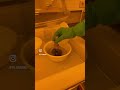 Startschuss ins Grüne: Kick-off für die Ilmenau School of Green Electronics