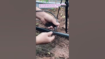 Béc g5 cải tiến bền và tiết kiệm