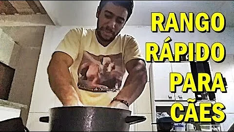 Como fazer comida caseira para pets?
