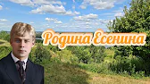 Обзоры Невского