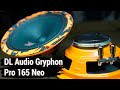 DL Audio Gryphon Pro 165 NEO - ОБЗОР/СРАВНЕНИЕ - #miss_spl