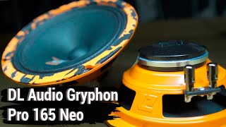 DL Audio Gryphon Pro 165 NEO - ОБЗОР/СРАВНЕНИЕ - #miss_spl