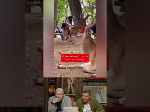 НЕ СМЕЙСЯ! Мы ЧУТЬ не захлебнулись от смеха 🤣💦 Баженов vs Генич | #НельзяСмеяться #СмехСВодой #Юмор