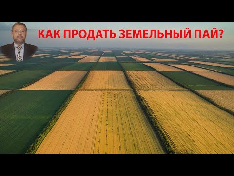 Как продать земельный пай