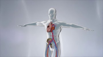 Myeloid Regulatory Cells: Novel Players in Cancer Immunotherapy