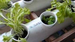 Indoor Garden Using Inexpensive Materials