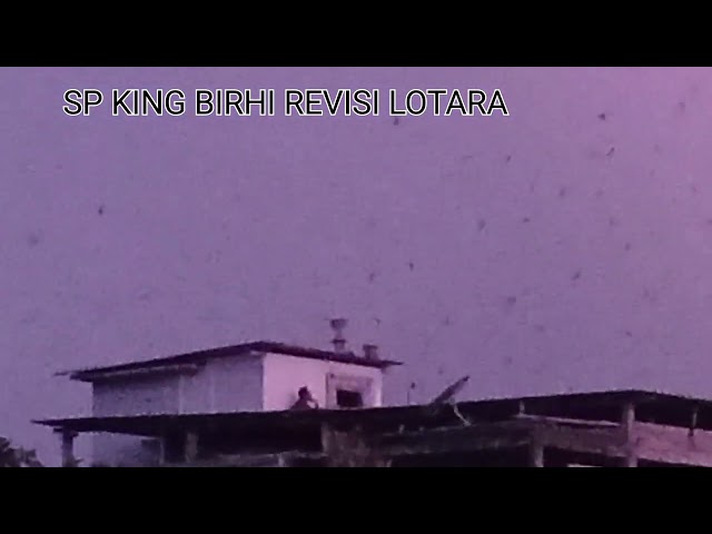 SP KING BIRAHI REVISI LOTRA  ,!! MELDAK BUMI PEYER LOMBOK UTRA FULL DURASI 👍🇮🇩🇮🇩 class=