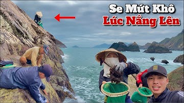 Se Rong Mứt Khô Vào Trời Nắng | Kiếm Tiền Bằng Nghề Hái Rong Mứt Có Dễ Dàng?