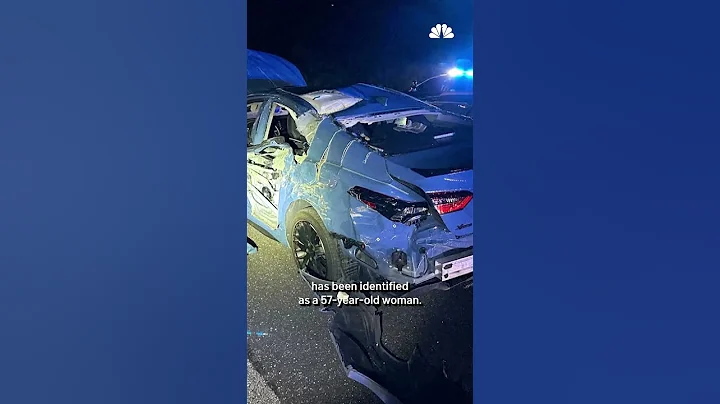 Plane makes emergency landing on I-95 in Florida