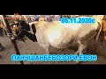 Панчшанбебозори Ёвон 05.11.2020с нархимоли майда ва говои ширте