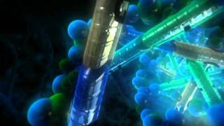 screenshot of the youtube video