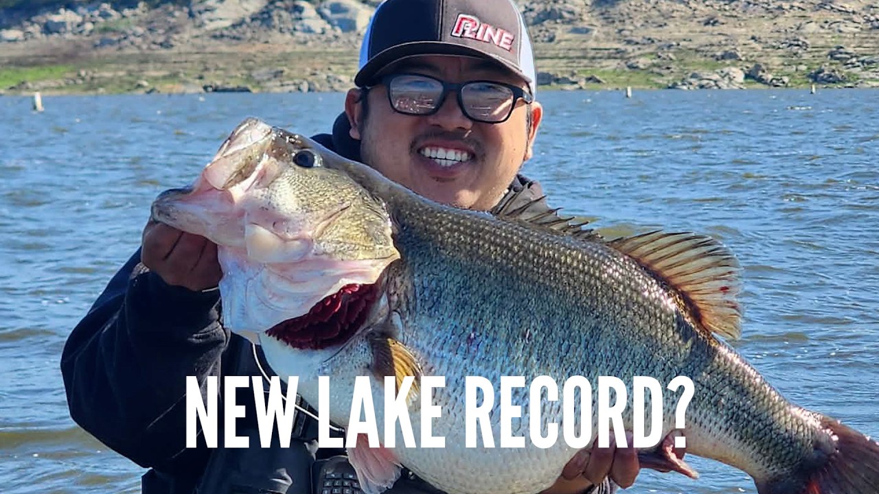 18.75 LB GIANT! Inside the Bass That Won BAM at Rollins Lake