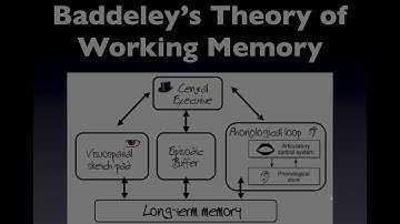PSYC 135   Ch 5   Part 1