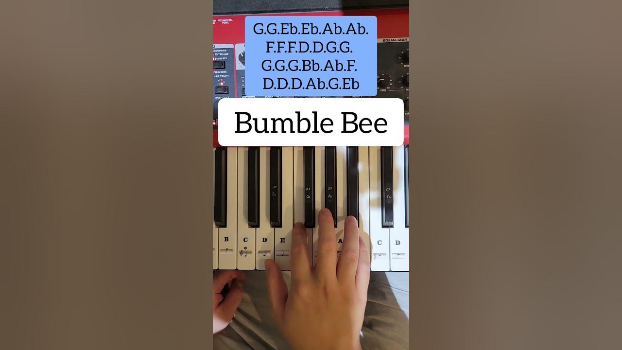 Bumble Bee (Easy Piano Tutorial)