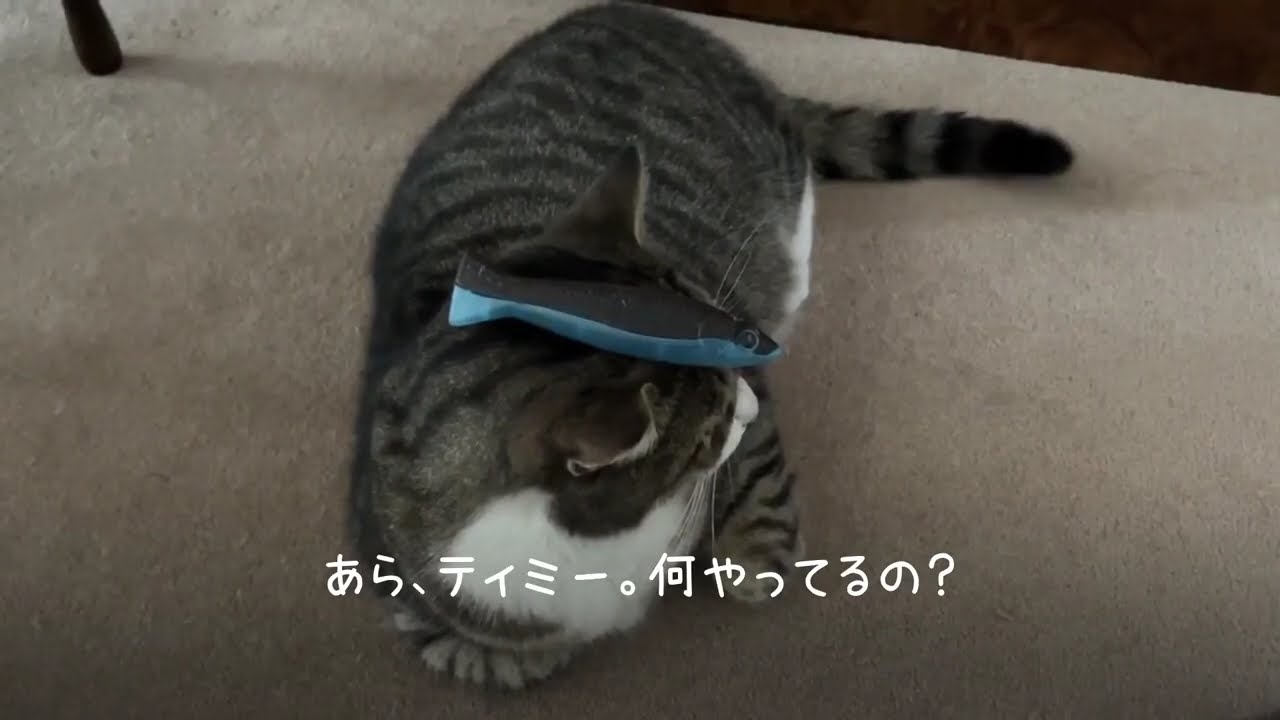 キューガーデンのクリスマスライト