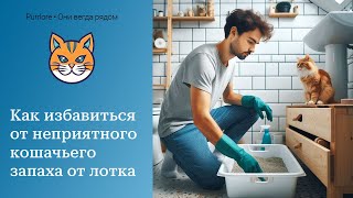 Как избавиться от неприятного кошачьего запаха от лотка