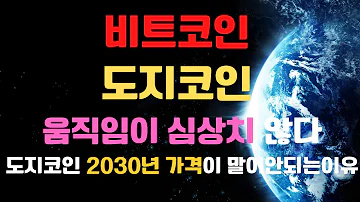 말도 안되는 도지코인 2030년 가격 비트코인 모욕의 순간