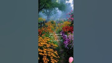 #Quran #islam #قرآن_كريم #تلاوة_خاشعة #اذكار