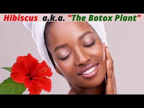 Hibiscus (a.k.a. The Botox Plant) Benefits for Beautiful and Glowing Skin