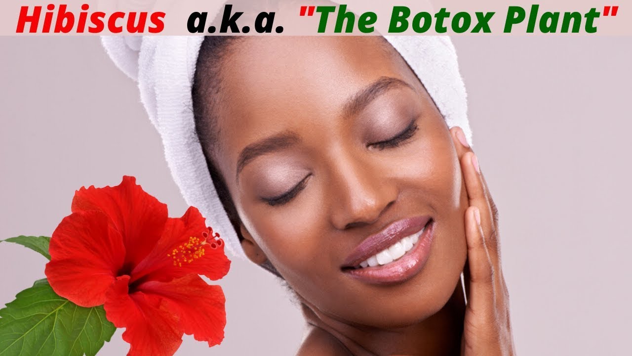 Hibiscus (a.k.a. The Botox Plant) Benefits for Beautiful and Glowing