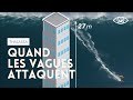 Quand les vagues attaquent - Nazaré Thalassa (reportage complet)