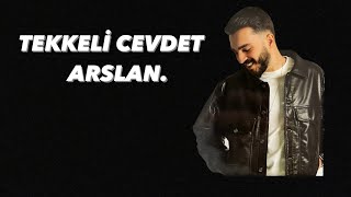 Cevdet Arslan / Avşar Kızı HÜLYA Resimi