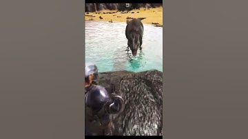 THE CRAZIEST ARK MOMENT EVER!!!