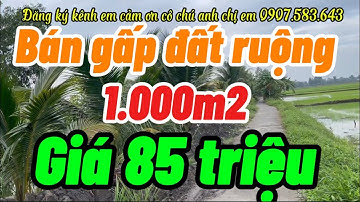 Kẹt tiền bán gấp 4 công đất ruộng mặt tiền đường dal giá rẻ 85 triệu/1000m2 tỉnh kiên Giang củ 