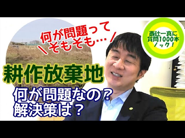 What is the problem with abandoned farmland? What solutions are