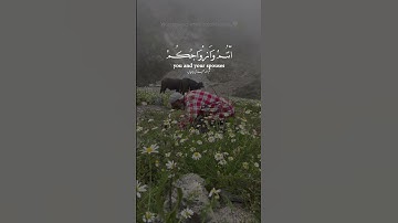 سوره زخرف آیه ۷۰ | تلاوت زیبای محمد اللحیدان | با شادی وارد بهشت ​​شوید