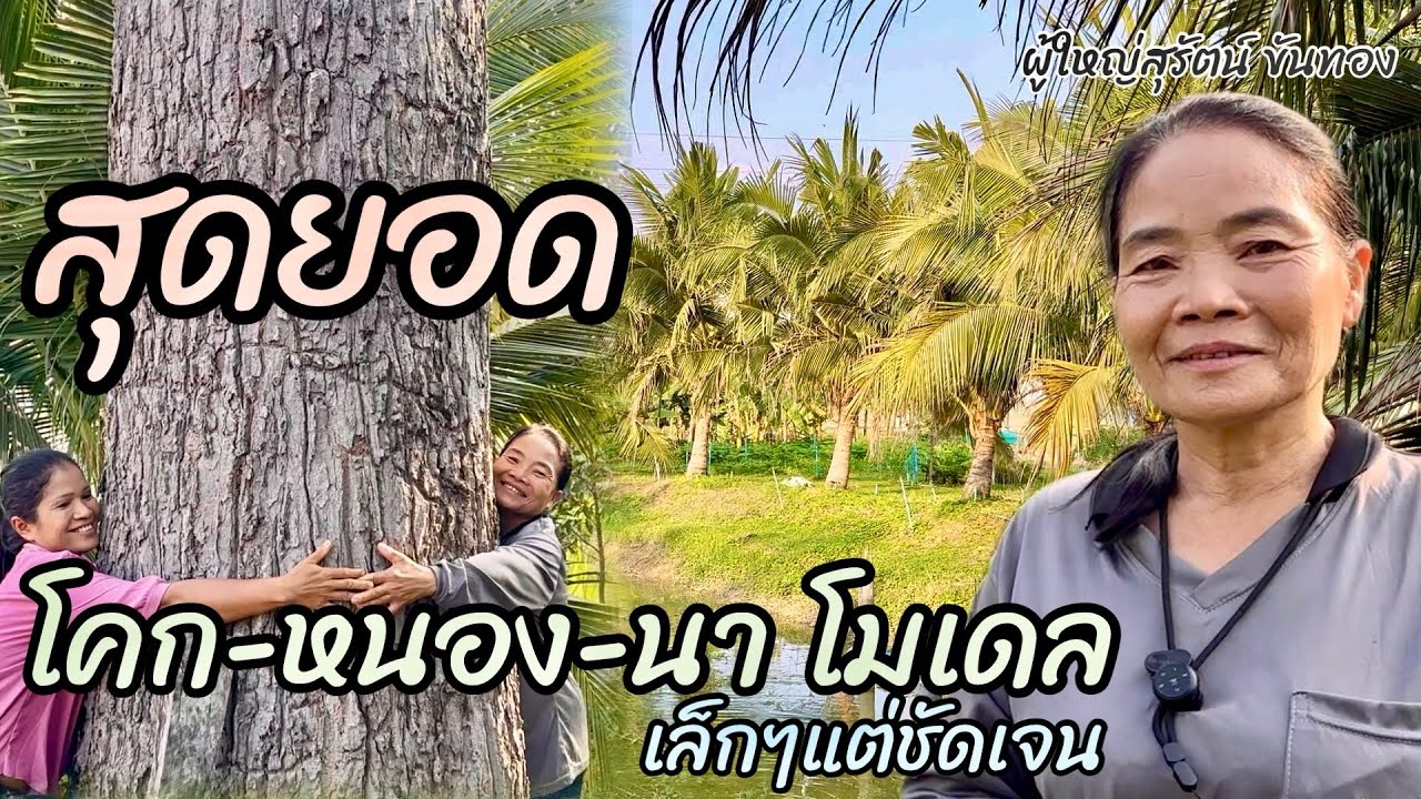 เล็กๆแต่ชัดเจน สุดยอดโคก-หนอง-นาโมเดล โดยผู้ใหญ่สุรัตน์ ขันทอง