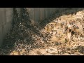 الزومبي يجتاح مدينة القدس و يسطر على العالم والناجين فقط 5 فماهي طريقه النجاه مخلص فلمworld War Z 