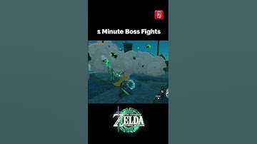 Fighting Flux Construct II in Wellspring Island