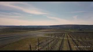 Tuatara | Washington Wine Country