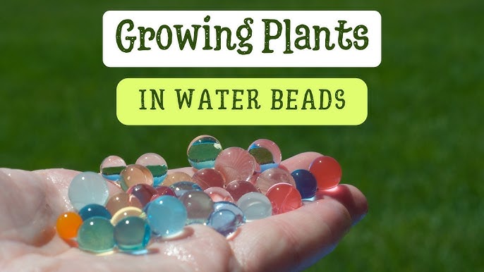 Water Growing Beads, Polymer Water Balls, Polymer Home Decor