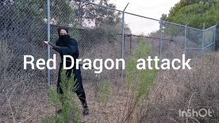 Shadow Hawk tears of vengeance Episode 9.part 40. Dark war of Ninjas.  Kkk gets in fight. 