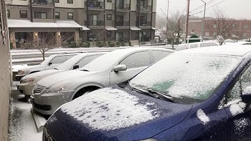 Snow begins to fall in Bellingham