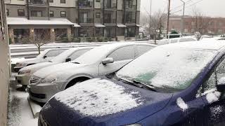 Snow begins to fall in Bellingham