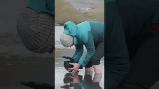 Faroe Adventures | Cinecom #shorts