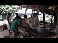 Full Day with Wood Cutting in Rural Sawmill।Whole Day Work with Wood Workers।Daily Work of Wood Cut