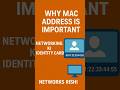 Why MAC Address Matters in Networking– Explained Simply #ccna #networking #macaddress #networksrishi