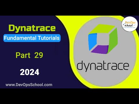 Fundamental Tutorials of