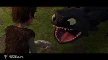 KNB225 Video essay FM