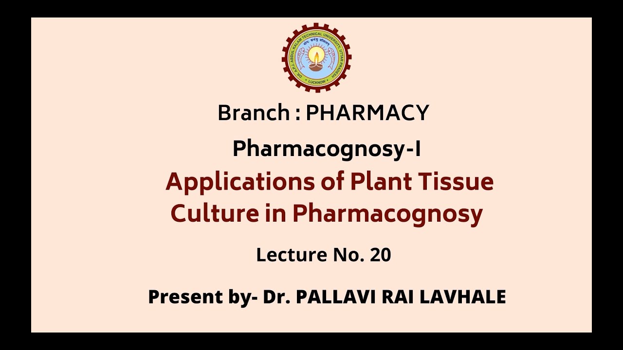 Pharmacognosy I Applications Of Plant Tissue Culture In Pharmacognosy Pharmacognosy I Applications Of Plant Tissue Culture In Pharmacognosy
