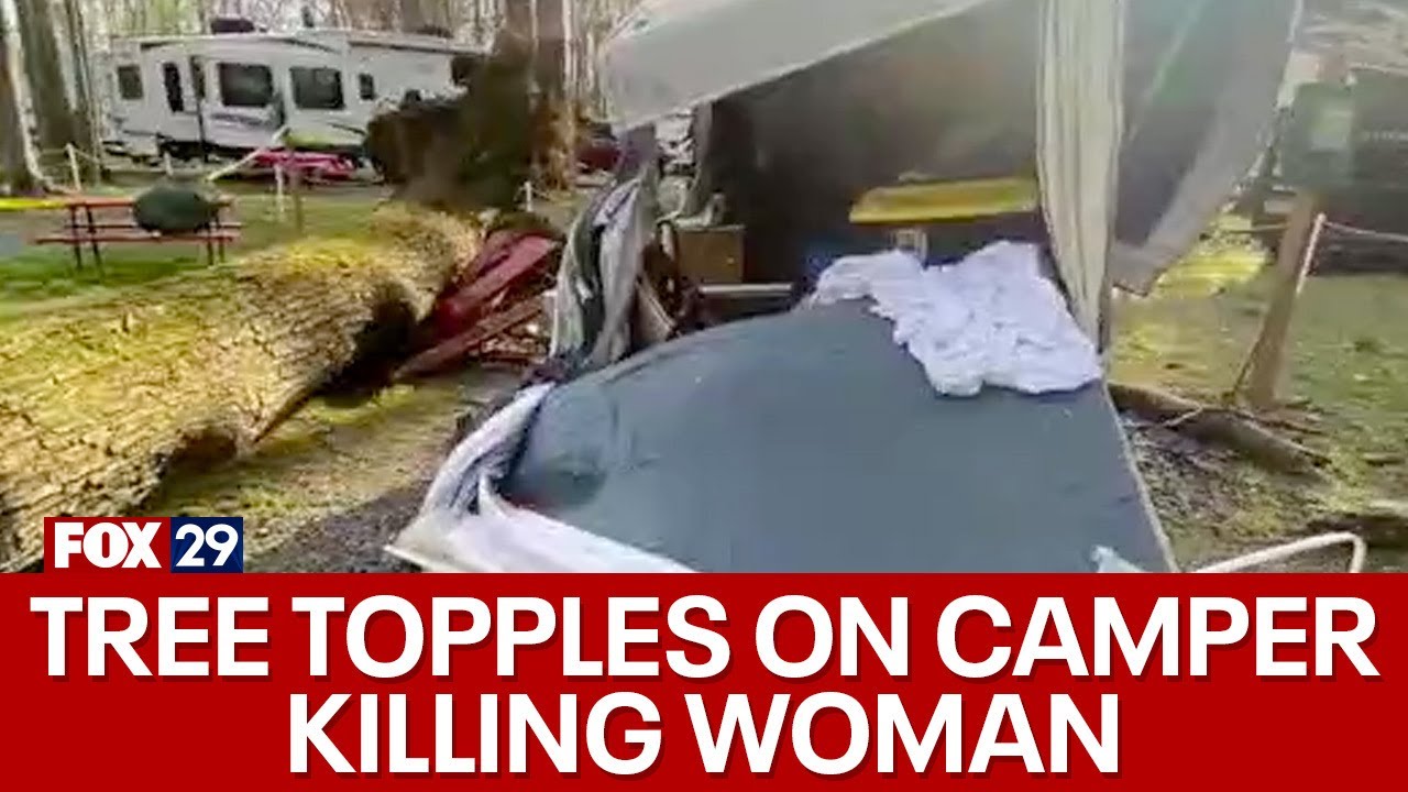 Family speaks out after woman killed in tragic tree incident - YouTube
