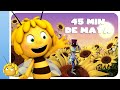 Compilation de 45 super minutes de maya labeille