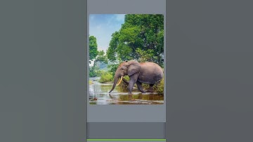 relaxing puzzle solving🧩|| #challenge #jigsaw #puzzle #viral #elephant #animals #shorts #trending